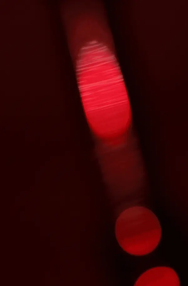 RIEN N'EST EXCELLENT AU MONDE S'IL NAÎT ROND ET COLORÉ.