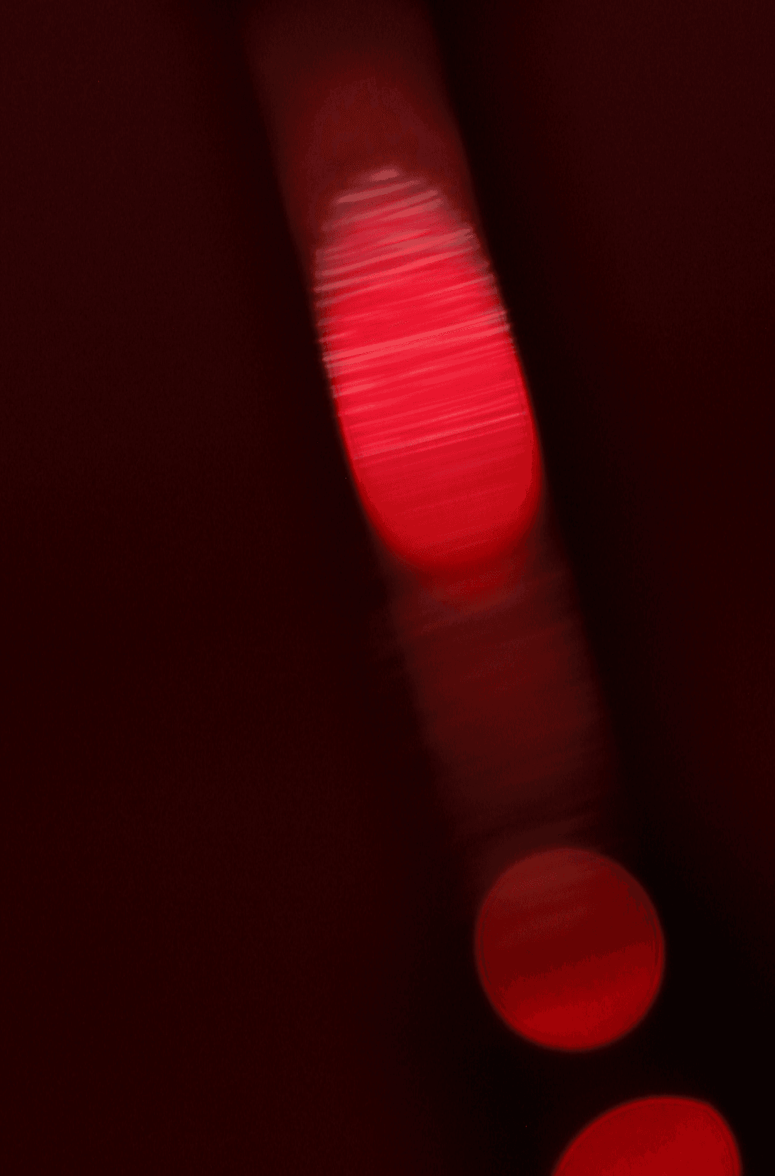 RIEN N'EST EXCELLENT AU MONDE S'IL NAÎT ROND ET COLORÉ.